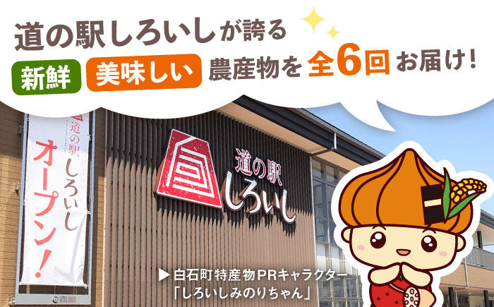 【6回定期便】【旬の農産物をお届け！】しろいし 産直定期便【道の駅しろいしカンパニー】野菜 [IAA042]