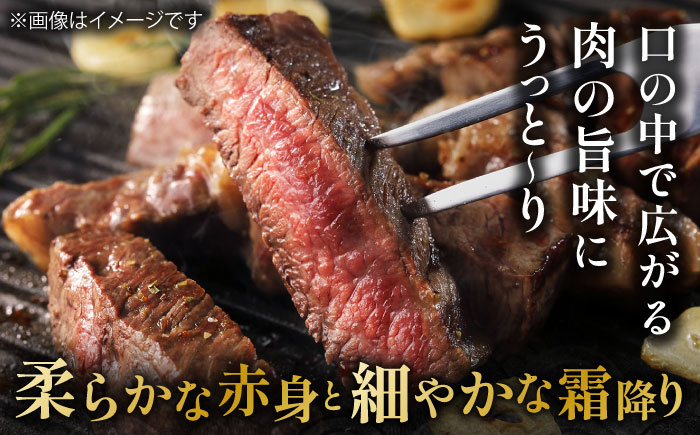 佐賀県産 黒毛和牛 贅沢 サーロイン ステーキ 200g×10枚（計2kg）【株式会社いろは精肉店】佐賀産和牛 牛肉 [IAG023]