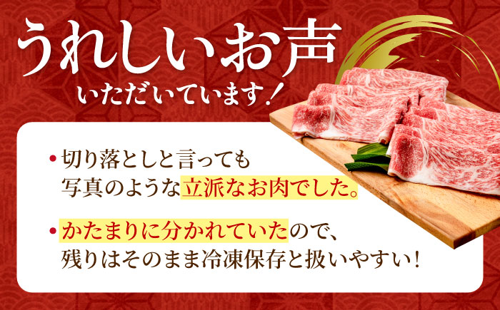 特選 佐賀牛 贅沢 切り落とし 2kg【株式会社いろは精肉店】牛肉 すき焼き しゃぶしゃぶ [IAG044]