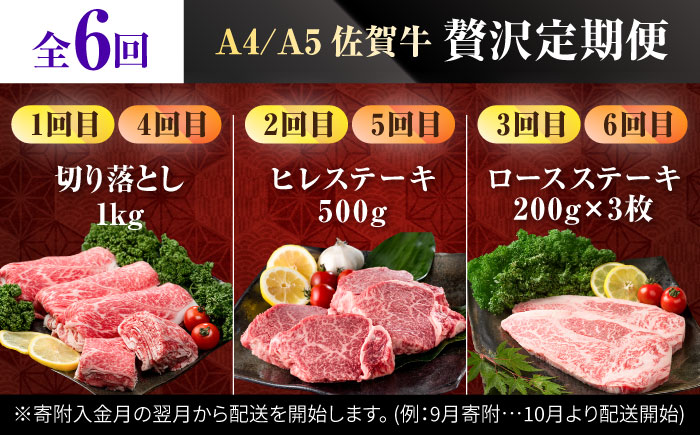 【肉のプロが厳選！】【6回定期便】佐賀牛 贅沢 定期便【株式会社いろは精肉店】牛肉 [IAG075]