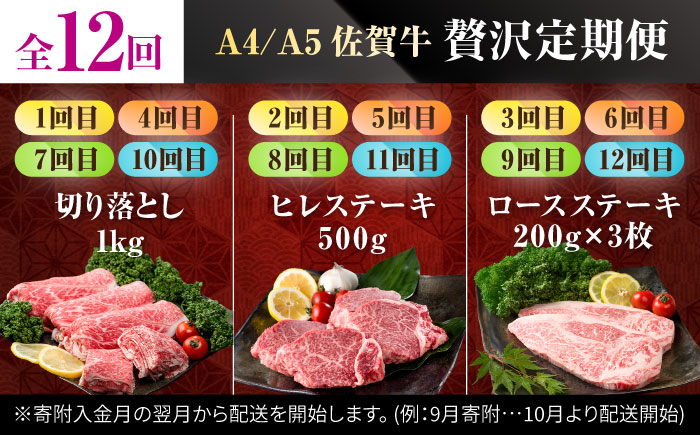 【肉のプロが厳選！】【12回定期便】佐賀牛 贅沢 定期便【株式会社いろは精肉店】牛肉 [IAG076]