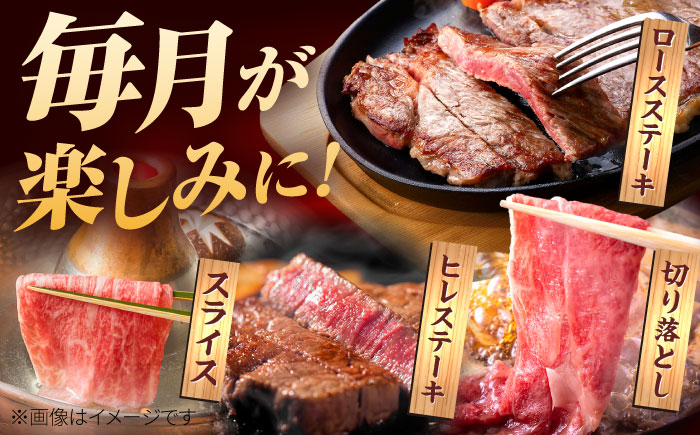 【肉のプロが厳選！】【12回定期便】佐賀牛 極上 定期便【株式会社いろは精肉店】牛肉 [IAG079]