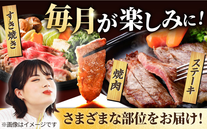 【6回定期便】佐賀県産しろいし牛 1頭まるごと定期便【有限会社佐賀セントラル牧場】牛肉 [IAH032]