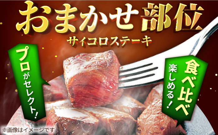 【牧場直送】佐賀牛 サイコロステーキ  食べ比べセット 600g（150g×4パック）【有限会社セントラル牧場】牛肉 [IAH067]