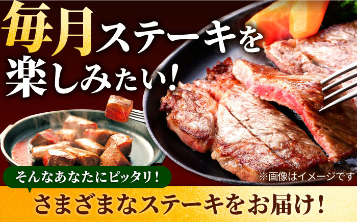 【牧場直送】【6回定期便】佐賀牛 贅沢 ステーキ食べ尽くし【有限会社セントラル牧場】牛肉 [IAH081]