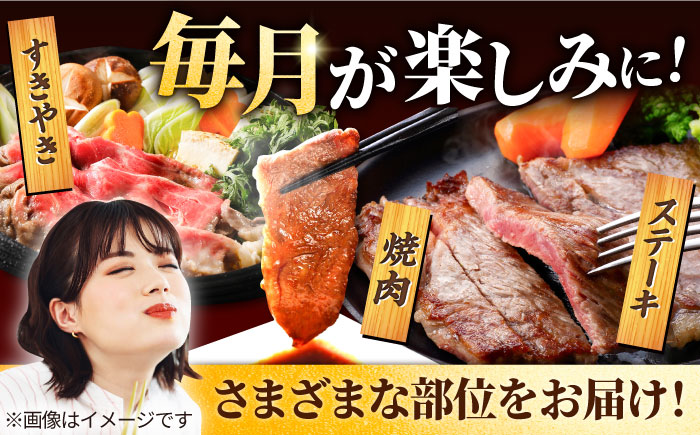 【牧場直送】【12回定期便】佐賀牛 贅沢 霜降り【有限会社セントラル牧場】牛肉 [IAH088]