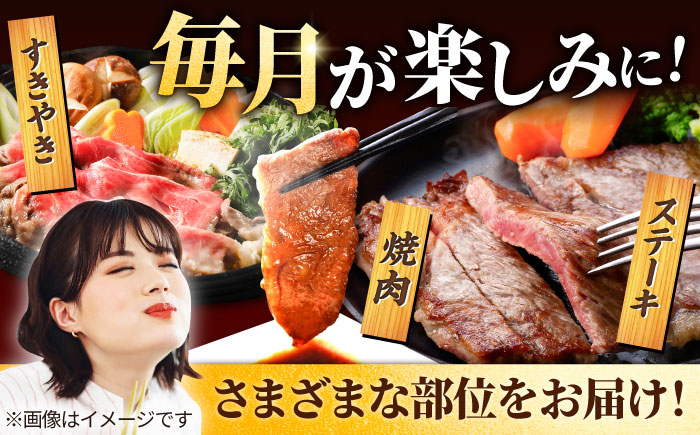 【牧場直送】【12回定期便】佐賀牛 贅沢 1頭まるごと ゴールドコース【有限会社セントラル牧場】牛肉 [IAH090]