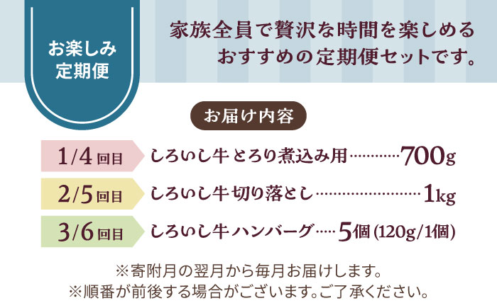 【牧場直送】【6回定期便】しろいし牛 家族向け お楽しみ 定期便（スタンダードコース）【有限会社佐賀セントラル牧場】牛肉 [IAH210]