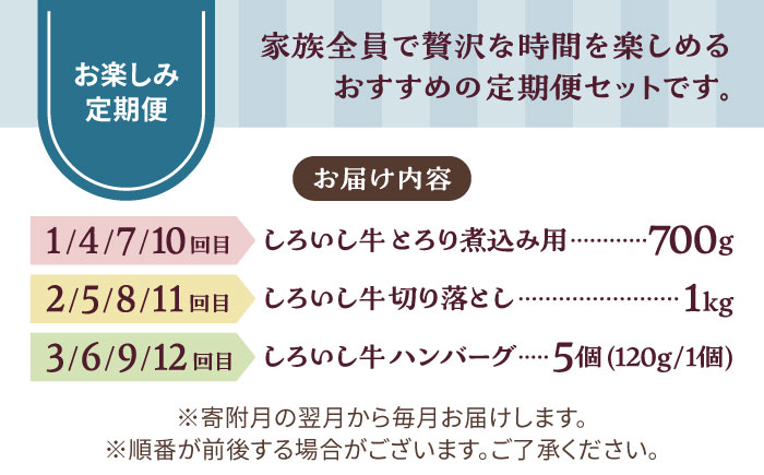 【牧場直送】【12回定期便】しろいし牛 家族向け お楽しみ 定期便（スタンダードコース）【有限会社佐賀セントラル牧場】牛肉 [IAH211]