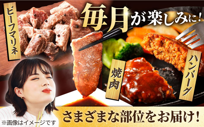 【6回定期便】しろいし牛1頭まるごと 食卓定期便 大容量 マリネ 焼肉 ハンバーグ【有限会社佐賀セントラル牧場】牛肉 [IAH222]