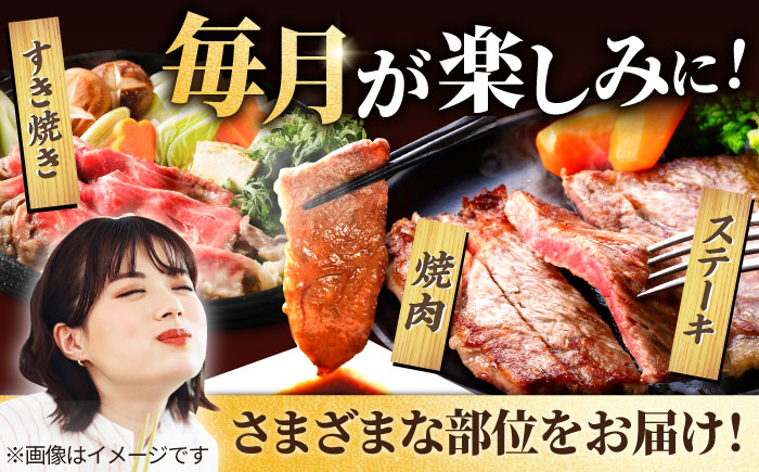 【牧場直送】【12回定期便】佐賀県産 しろいし牛 1頭まるごと 定期便【有限会社佐賀セントラル牧場】 [IAH225]