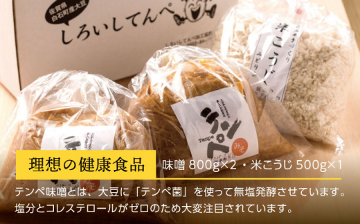【身体にやさしい発酵食品！】テンペ味噌・米こうじセット【しろいし特産物直売所】 てんぺ [IAI001]