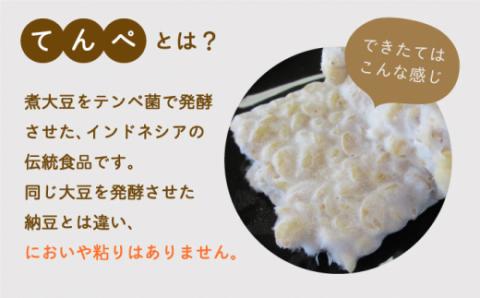 【身体にやさしい発酵食品！】テンペ詰め合わせ（テンペ150g×3袋、テンペ味噌800g×1袋）【しろいし特産物直売所】てんぺ [IAI005]