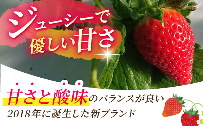 【R8年1月以降発送】 白石町産 いちごさん （150g×6パック） 【佐賀県農業協同組合】 イチゴ [IAK016]