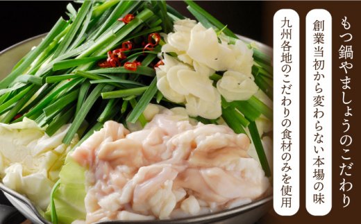 【全12回定期便】やましょう もつ鍋セット（醤油味）3-4人前 / モツ鍋 [IAL004]