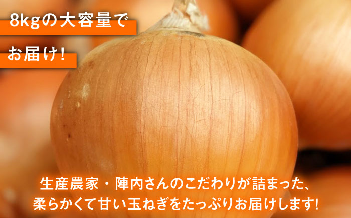 【先行予約】小分けがうれしい！玉葱農家のこだわり 玉ねぎ 約8kg以上（8袋から12袋）【玉葱農家 陣内ちひろ】玉葱 たまねぎ オニオン 晩生 [IAO020]