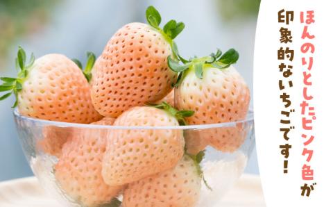 【先行予約】【農家直送】ほんのりピンク白いちご希少な「淡雪」220g×2パック 【岸川農園】 イチゴ [IAP005]