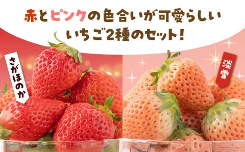 【先行予約】【農家直送】淡雪＆さがほのか赤白いちごセット各220g 【岸川農園】イチゴ [IAP007]