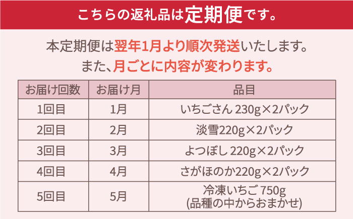 【R8年1月以降発送】【先行予約】【全5回定期便】いちご5品種食べ比べ白いちごなど希少品種も！【岸川農園】/イチゴ 苺 ストロベリー [IAP010]