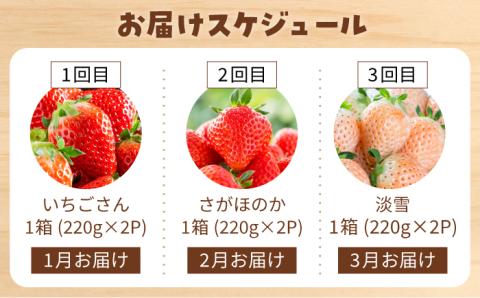 【先行予約】【全3回定期便】いちご 3品種 食べ比べ【岸川農園】イチゴ [IAP022]