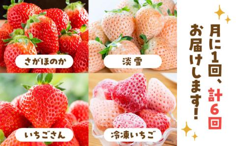 【先行予約】【全6回定期便】プレミアム いちご 食べ比べ【岸川農園】イチゴ [IAP023]