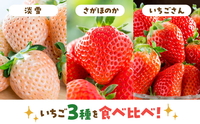 【先行予約】いちご 3品種 食べ比べセット 【岸川農園】 イチゴ [IAP029]