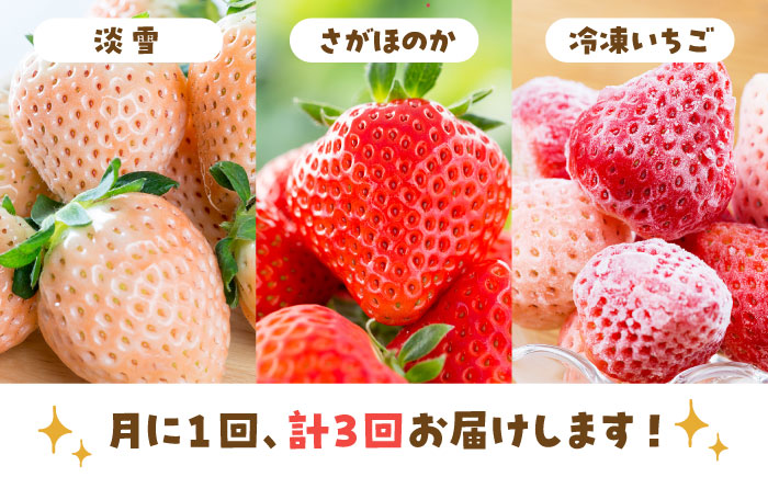 【先行予約】【全3回定期便】赤白 いちご 食べ比べ 【岸川農園】イチゴ [IAP030]