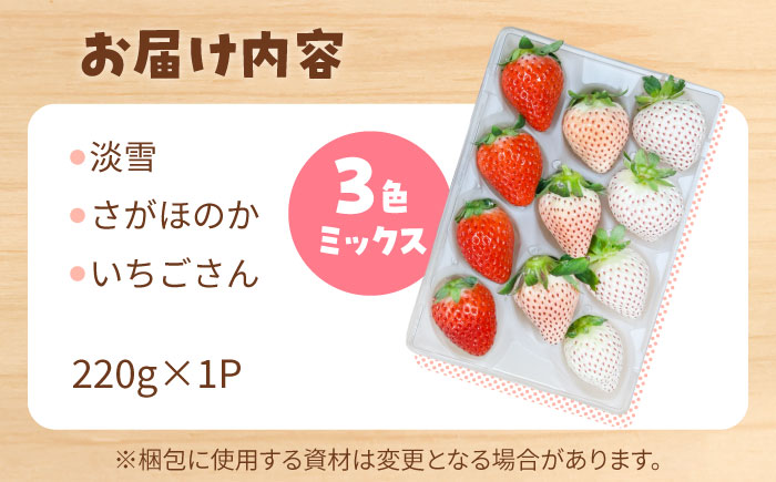 【R8年2月以降発送】1パックに3色いちご（こころの色・さがほのか・淡雪）220g×1パック 【岸川農園】 [IAP047]