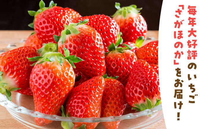 【R8年1月以降発送】白石産いちご「さがほのか」 220g×2パック 【岸川農園】 [IAP048]