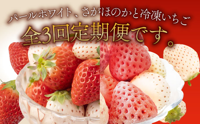 【R8年3月以降発送】【全3回定期便】希少白いちごパールホワイト、さがほのかと冷凍いちご【ハヤシダファーム】イチゴ [IAQ010]