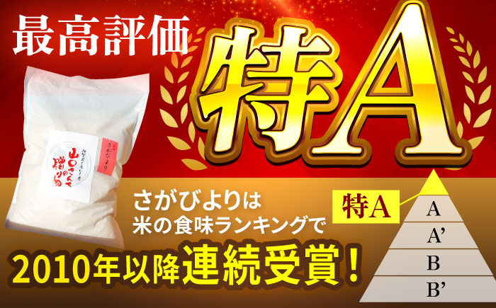 【令和7年11月以降順次発送】【令和7年度産】特別栽培米 さがびより 10kg 白米 山口さんちの贈り物【y'scompany】白米 [IAS006]