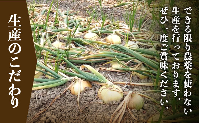【先行予約】【農家直送！】こだわり 玉ねぎ 約5kg 山口さんちの贈り物 【y'scompany】 タマネギ  [IAS011]