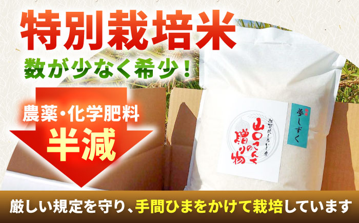 【令和7年10月以降順次発送】【令和7年度産】 特別栽培米 夢しずく（玄米） 10kg 【y'scompany】 [IAS024]