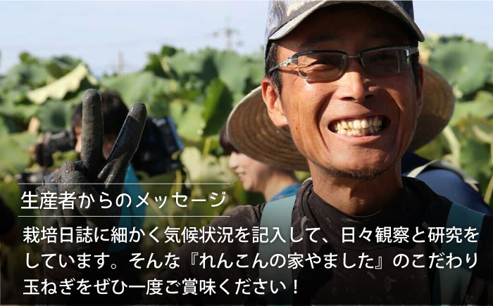 【全2回定期便】5月6月発送 こだわり 白石 玉ねぎ 10kg【れんこんの家やました】玉葱 [IAW007]