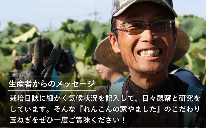 【農家直送！】こだわり 白石玉ねぎ 10kg【れんこんの家やました】 [IAW009]