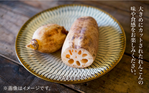 【手軽においしい！】白石れんこんのまぜご飯の具（3種）【べんがら】[IAZ011]