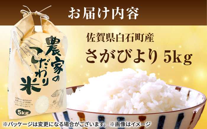 さがびより（白米） 5kg 【かわさきいちご】 [IBG018]