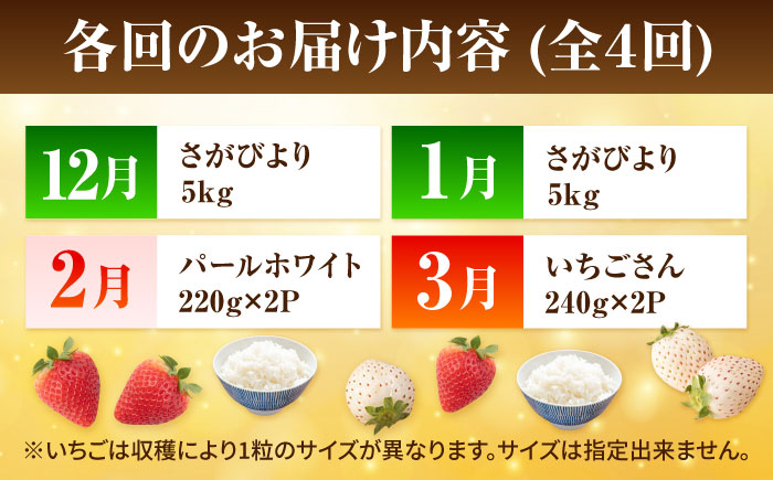 【R7年12月以降発送】【全4回定期便】いちごとお米の贅沢定期便（1） 【かわさきいちご】 [IBG019]