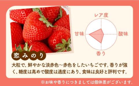 【先行予約】【農家直送】いちごに想いをのせて「恋みのり」220g×2パック 【鐘ヶ江農園】 イチゴ [IBH001]