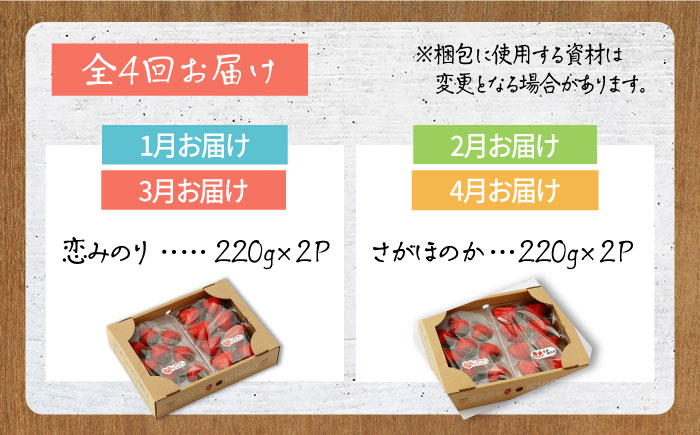 【R8年1月以降発送】【先行予約】【全4回定期便】食べ比べ！恋みのり＆さがほのか【鐘ヶ江農園】いちご [IBH008]
