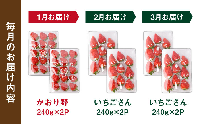 【R8年1月以降発送】【3回定期便】赤いちご食べ比べ！かおり野＆いちごさん【StrawberryFarm-K】イチゴ [IBJ007]