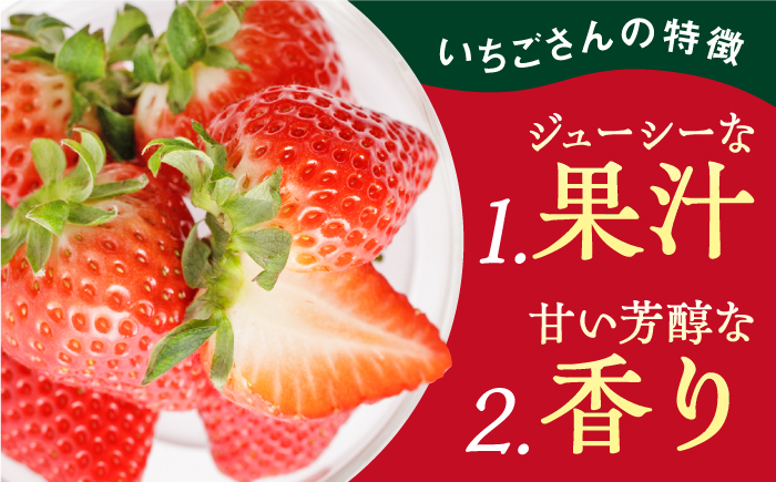 【R8年2月以降発送】【3回定期便】いちごさん 240g×2パック（2-4月配送）【StrawberryFarm-K】イチゴ [IBJ009]