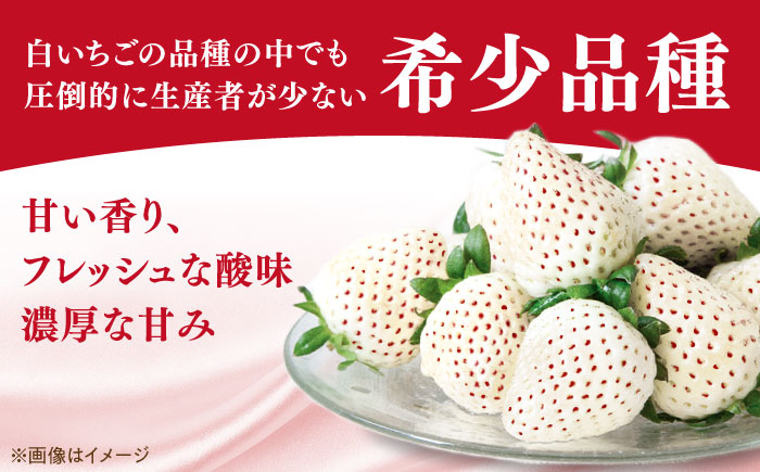 【R8年1月以降発送】【幻の白いちご】 こころの色 220g×2パック 【StrawberryFarm-K】 [IBJ010]