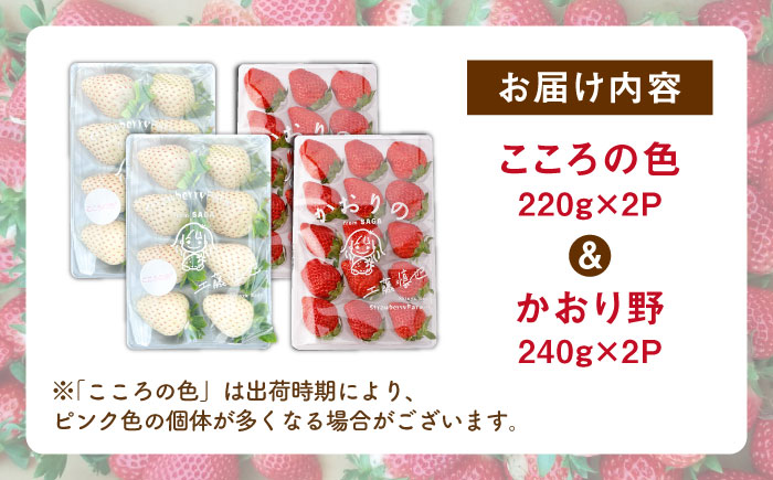 【R8年1月以降発送】こころの色×かおり野 紅白いちごセット  計920g （こころの色220g×2パック、かおり野240g×2パック） 【StrawberryFarm-K】紅白いちご 希少 いちご 果物 フルーツ かおり野 セット  [IBJ025]