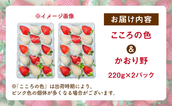 【R8年1月以降発送】こころの色×かおり野ミックス 紅白いちごセット 計440g（220g×2パック） 【Strawberryfarm-K】 紅白いちご 希少 いちご 果物 フルーツ かおり野 セット [IBJ028]