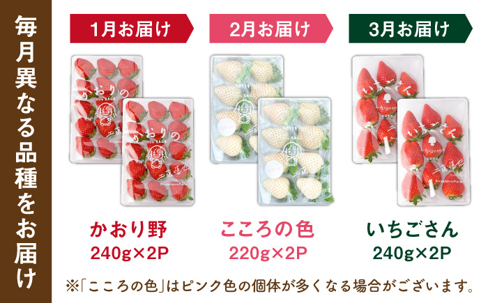 【R8年1月以降発送】【全3回定期便】3種の食べ比べ定期便（1） 【StrawberryFarm-K】 [IBJ030]