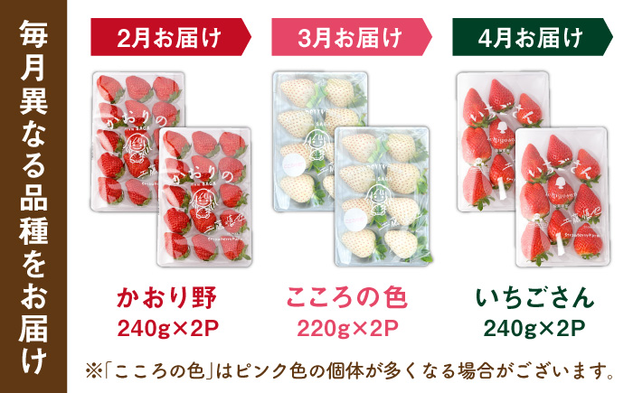【R8年2月以降発送】【全3回定期便】3種の食べ比べ定期便（2）  【StrawberryFarm-K】 [IBJ031]