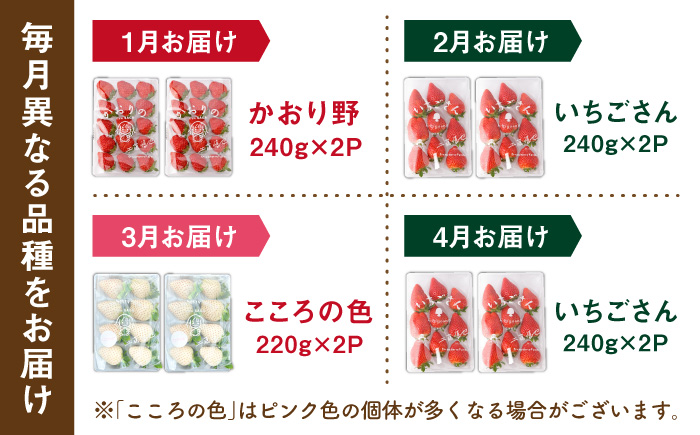 【R8年1月以降発送】【全4回定期便】3種の食べ比べ定期便（3）  【StrawberryFarm-K】 [IBJ032]