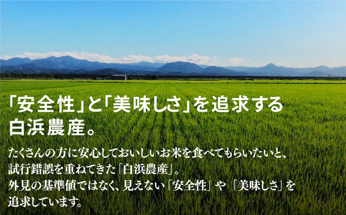 【令和7年度産】【九州米・食味コンクール3年連続入賞！】こだわりの さがびより 20kg（白米）【白浜農産】お米 [IBL002]