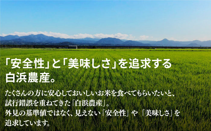 【令和7年11月以降発送】【令和7年度産】【全12回定期便】【九州米・食味コンクール3年連続入賞！】こだわりのさがびより 10kg×12回（白米）【白浜農産】お米 [IBL018]